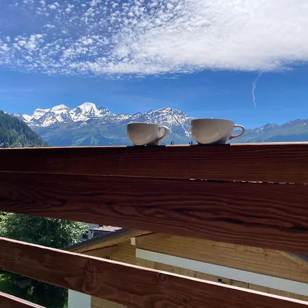 Olympia 443 By Interhome * Verbier